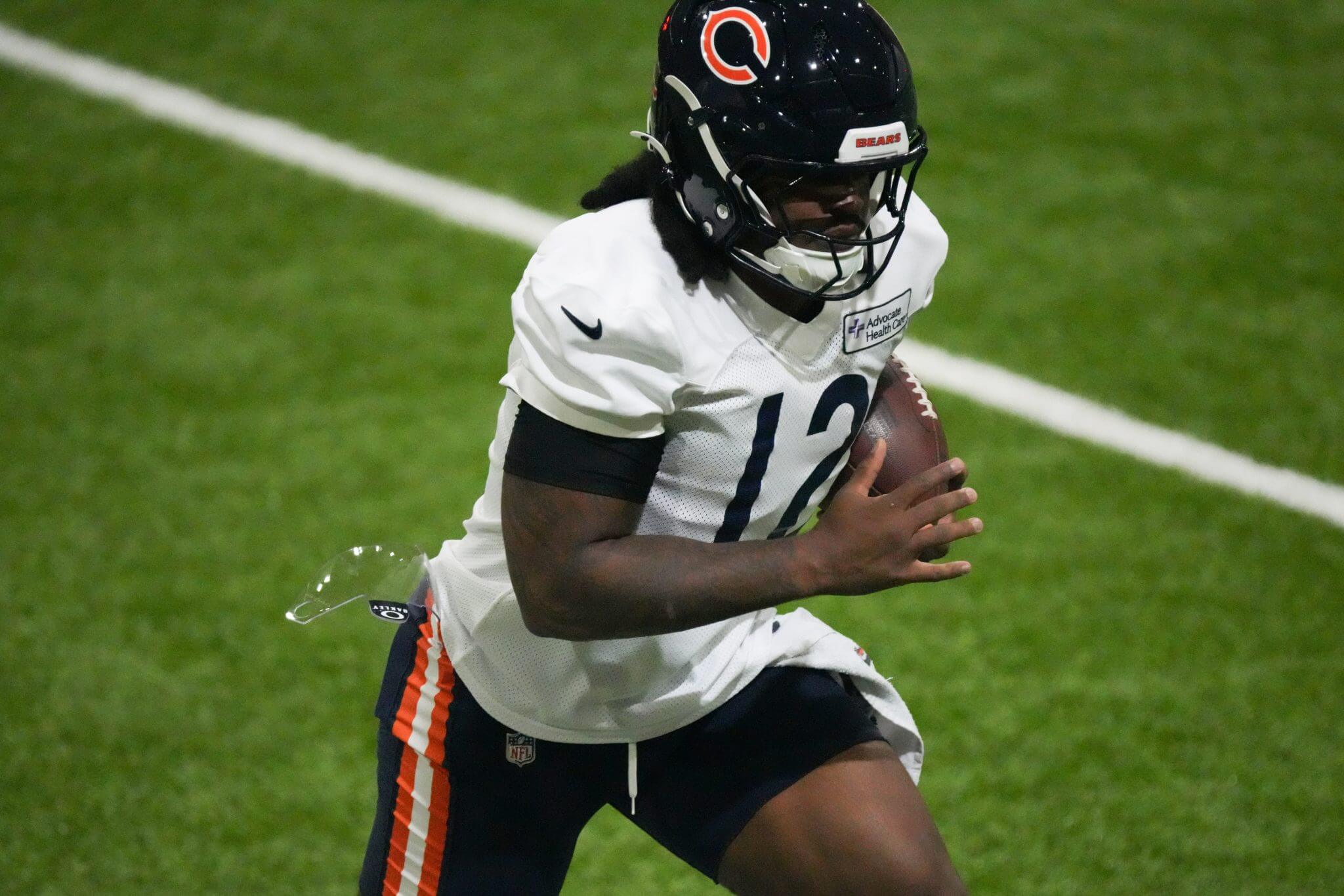 Devin Bush Bears