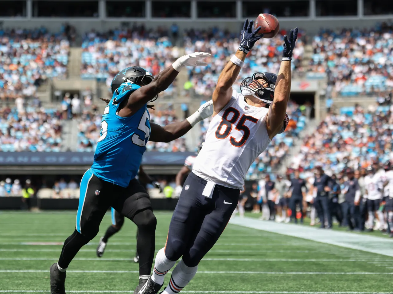 Cole Kmet Bears Panthers