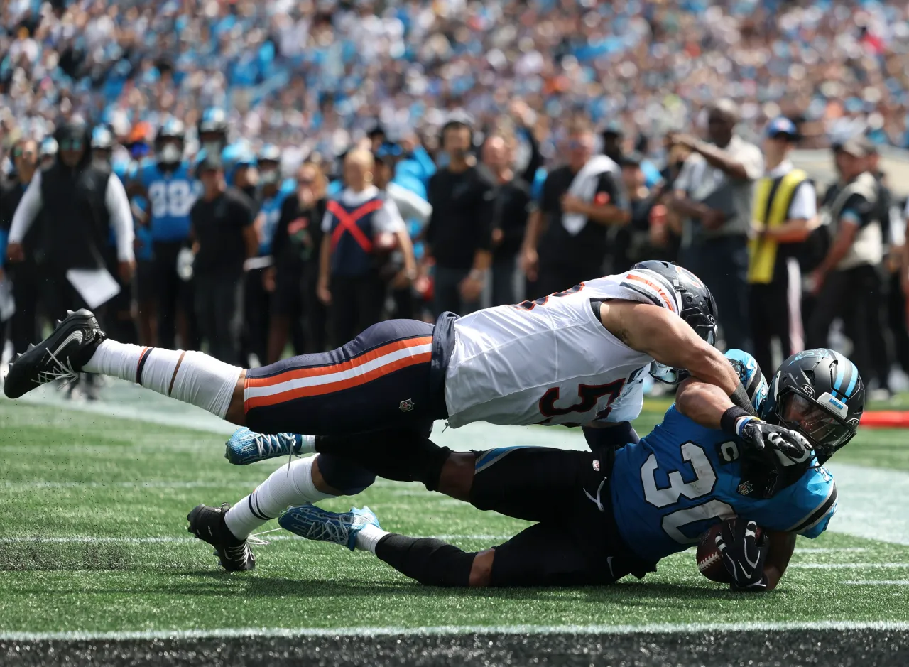 TJ Edwards Bears Panthers