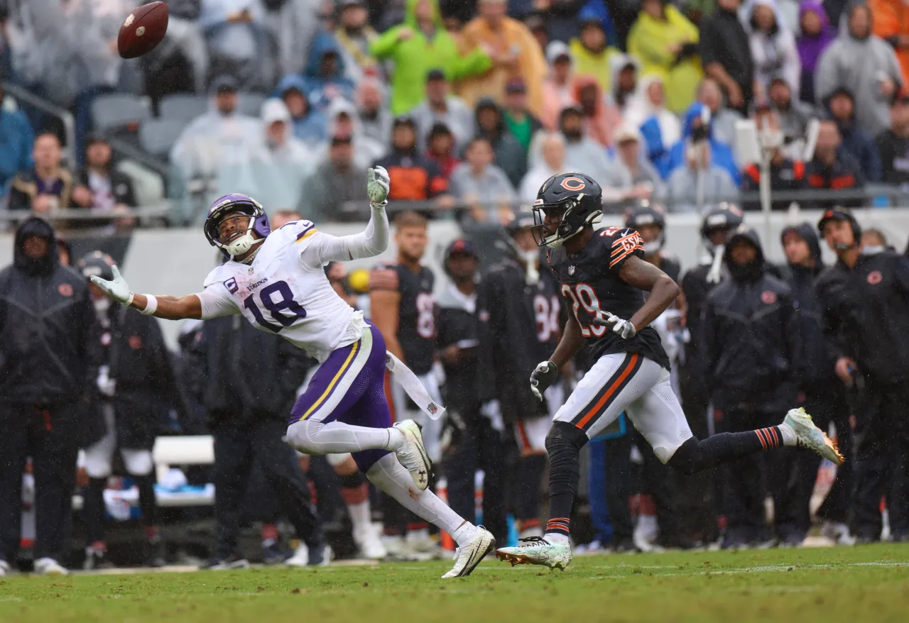 Bears Defense Week 2